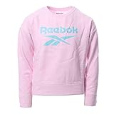 Reebok Jungen Jersey Big Vector Stacked Kurzärmeliges T-Shirt, Pink, L
