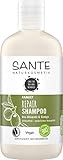 SANTE Naturkosmetik Repair Shampoo Bio-Olivenöl & Ginkgo, Repariert geschädigtes & strapaziertes Haar, Natürliche Haarpflege für gesundes Haar, Vegan, 250