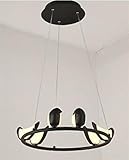 Zgjine. Nordic Minimalism Metall Vogel Led luminaria Kronleuchter Luster Led Hang Beleuchtung Acryl Kronleuchter Beleuchtung Lampe Gemalt Suspend (Lampshade Color : Round 6 light)