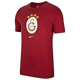 NIKE 2021–2022 Galatasaray Evergreen Crest Tee (rot)