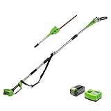 Greenworks Tools Akku-Hochentaster u. Teleskop Heckenschere 2in1 G40PSH+Li-Ion 40V 4Ah wiederaufladbarer leistungsstarker Akku+ passend für alle Geräte und Akkus der 40V Greenworks Tools S