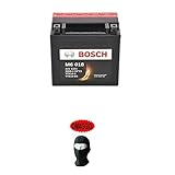 KOMPATIBEL MIT Husqvarna TE E 410 1999 A 2001 Bosch AKKU BEREITS EINSATZBEREIT YTX14-BS 12V 12AH BATTERIEN 12 AMPE Laden Motorrad Roller M6018 152X88X147MM
