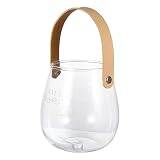 Cabilock Glas Blumenvase Glasvase Eiseimer Ökosystem Im Glas Pflanzen Terrarium Eiswürfelbehälter DIY Flaschengarten Glasterrarium Blumentopf Tischdeko für Küche Sukkulenten Kaktus Top
