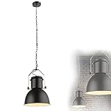 Schwarze Hängeleuchte im Industriestil - Pendelleuchte Schwarz Vintage Industrial Esszimmer Hängelampe Küche (Restaurant Lampe – Industrielampe – Metall - 27 cm)