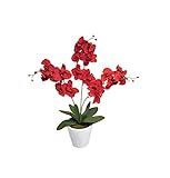 Orchidee 3 Rispen Phalaenopsis Kunst-Orchidee Kunstpflanze Dekopflanze Topfpflanze Seidenblume Kunstblume Zimmerpflanze Pflanze Blume künstlich Topf Keramik rot 60 cm 1017101-01 getopft F73