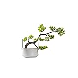 kerryshop Künstlicher Baum Moderne künstliche Pflanzen-Desktop-Dekoration Gefälschte Grünpflanze Bonsai-Hotelmöbel Ausstellungshalle Zen Begrüßung Kiefer-Topf-Ornamente Kunstpflanze (Size : B)