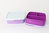 TUPPERWARE Clevere Pause 1x 550ml Beere Lila + 1x 550ml Lila Mint Lunchbox mit Einteilung + Mini B