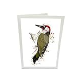 Grünspecht Glückwunschkarte Grußkarte Karte Vogel Zeichnung mit Umschlag
