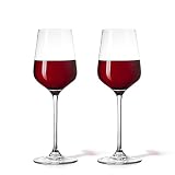 Seahelms Gin-Gläser | Kristallweinglas | Schöne Cocktailgläser | Perfektes Weingeschenk für Männer und Frauen | 2er Set (transparent, 550ml)