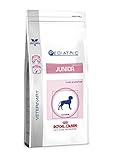 ROYAL CANIN Vet Care Junior Digest & Skin, 1er Pack (1 x 4 kg)