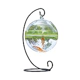 JJWC 1 Set runde Form hängende Glas Aquarium fischschüssel Ask Tank Blume Pflanze vase transparent sphärisch Glas handgefertigte Ask Tank (Color : Black)