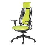 3190 Kreativ Green Home Office Schreibtischstuhl: Ergonomischer Taskstuhl, verstellbare Kopfstütze, Lendenunterstützung, Armlehnen, Sitztiefe, Mesh-Rückenlehnen Geschenk (Color : Green, Größe : 50in)