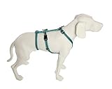 Feltmann No Exit ausbruchsicheres Hundegeschirr für Angsthund, Sicherheitsgeschirr für Pflegehunde, Panikgeschirr, Soft Grip, türkis/braun, Bauchumfang 40-60 cm, 15 mm Bandb