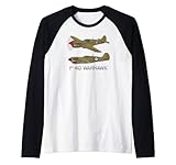 P-40 Warhawk Amerikanisches WW2 Kampfflugzeug Diagramm Rag