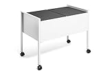 Durable 308210 Eco Hängemappenwagen 100 Duo, g