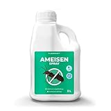 Silberkraft Ameisenspray zuverlässig Ameisen bekämpfen, Anti- Ameisenmittel, (2 L)