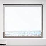 Ccsh Rollo Klarer Rollladen, PVC-Vinyl wasserdichte Rollos für Wohnzimmer-Hinterhof-Balkon, UV-Schutz Sonnenschutz Jalousien mit Beschlag (Size : 125cmx220cm(4.1FTx7.2FT))