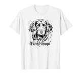 Wachtelhund Hunde Jagdhund Jagdhunde Hunde Portrait T-S