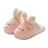 Perferct Velcro Slippers Womens-Unisex Winter Cotton Shoes-Gifts for Men-Thick-Soled Cartoon Plus Velvet Cotton Slippers, Soft-Soled Non-Slip flip-Flops,F,38—39