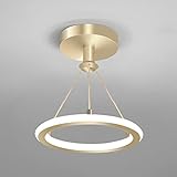 LED Deckenleuchte Φ20CM Moderne Runde Design Deckenlampe 19W Deckenbeleuchtung Korridor Decke Lampe, Ceiling Light für Balkone Flure Garderobe Flur Eingang (Weißes Licht 6000K, Gold)