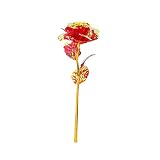Ewige Rose, Simulation Goldfolie 24K Infinity Künstlich Rose , Personalisierte Geschenke für Frauen, Valentinstag, Muttertag, H