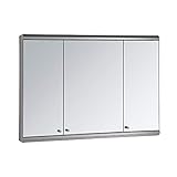 Cabinet Edelstahl Oberflächenmontage Badezimmerschrank mit Spiegel Lagerung für Bad (Farbe: Silber, Größe: 100x65x13cm) FDWFN (Color : Silver, Size : 100x65x13cm)