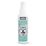 AniForte Denta Clean & Care Dentalspray für Hunde Zahnstein 100ml – Natürliche Pflanzenextrakte & Calcium unterstützen Zahngesundheit, Mundgeruch Spray reduziert Plaque, Hunde Zahnpfleg