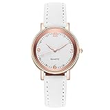 Uhren für Frauen Lederband Luxusuhren Quarzuhr Edelstahl Zifferblatt Casual Armbanduhr für Frauen Reloj Mujer 完忘扼抑