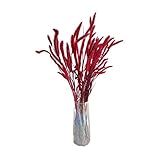 WUBZSHI Kunstblumen Kleines Schilf natürlich getrocknete kleine Pampas Gras Phragmiten Künstliche Pflanzen Hochzeitsdekoration Blume Bündel Hochzeit Geschenke für (Color : Red)