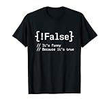 False It's Funny Because It's True Programmierer Informatik T-S