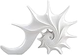 GAOLILI Skulptur Statue Skulptur-Statuen Conch Resin Decoration Wohnzimmer Fernseher Kabinett Coffee-Shop Zimmer mit kleinem Möbeln (Color : White)