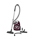 Rowenta Ro3969ea Staubsauger mit Beutel, 3 l, 750 W, Easy Brush, G