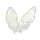 Milisten 100 Stück Skelettblätter, Gummi, Baum Natur, Scrapbooking, Basteln, Hochzeitskarten, Scrapbooking, Basteln, Handarbeit, Verschönerung