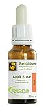 Joy Bachblüten, Essenz Nr. 26: Rock Rose; 20ml Stockb