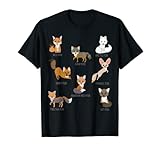 Grey Fox Kit Fox Tibetan Fuchs Arctic Fox Swift Fox T-S