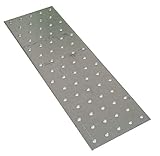 10 Stück FMG Lochplatten 100x300
