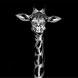 ZMGYA klassisches 1000 Teile Puzzle giraffe-3000 Puzzle für Erwachsene und Kinder ab 14 Jahren,Geschicklichkeitsspiel für die Ganze Familie, Dekompression der Erwachsenen,B