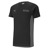 PUMA BVB Dortmund Evostripe T-Shirt Schwarz F03