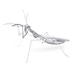Fascinations MMS069 - Metal Earth 502700 - Praying Mantis (Gottesanbeterin), lasergeschnittener 3D-Konstruktionsbausatz, 1 Metallplatine, ab 14 J