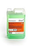 Clean2 5 Liter Reiniger Teppichreiniger, Polsterreiniger Reinigungspistole,Innenreinig