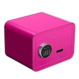 YXFF Safe，Digitale Safes für Zuhause kaufen, mit Doppelschichtstruktur, aus legiertem Mikrokohlenstoffstahl, geeignet für Büro/Zuhause, hoher 25cm Safebox-Schlüsselkasten,Wandtresore Schönes Z