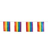 14 x 21 cm LGBTQ Gay Pride Regenbogen-Flagge, Karnevalsumzug, sechs Farben, kleine Regenbogenflagge mit Stange, Regenbogenfahne für Straßendekoration, Gay Pride Geschenk