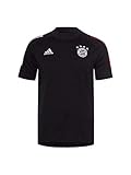 adidas Unisex Fc Bayern Munchen Temporada 2020/21 Fcb Tee Unterhemd, Schwarz Rot Fcb, XS EU