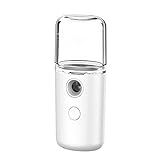 DawnDream Humidificateur 30ml Mini Nano Gesichtssprayer USB Nebulizer Gesichtsdampferbefeuchter Humidificateur D'Air (Color : F)