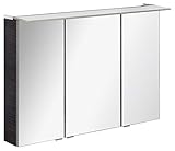 FACKELMANN LED Spiegelschrank B.PERFEKT/Badschrank mit Soft-Close-System/Maße (B x H x T): ca. 100 x 69 x 15 cm/hochwertiger Schrank mit Spiegel und Beleuchtung fürs Bad/Korpus: Schw