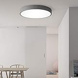 Avior Home LED Deckenlampe Deckenleuchte'Pastell' Tageslicht 12 W - 48 W für Wohnzimmer, Schlafzimmer, Küche (Grau, 50cm 36W)