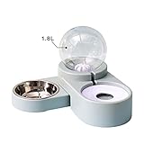 LUBINGT Futternapf Haustier Katze Schüssel Hund Für Katzen Feeder Bowls Kätzchen Automatische Trinkbrunnenkapazität Welpen Fütterung Weller Produkte (Color : Paopao-Blue)