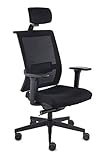 grospol Bürodrehstuhl Level BS HD, höhenverstellbar von 45 bis 58 cm, verstellbare Kopfstütze, Lordose-Stütze, 3-D-Armlehnen, Synchronmechanik mit Antishock-Funktion, Bezug aus N