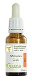 Joy Bachblüten, Essenz Nr. 20: Mimulus; 20ml Stockb