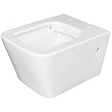 Keramik Tiefspüler Wand Hänge Toilette WC Spülrandlos Weiß Sanling